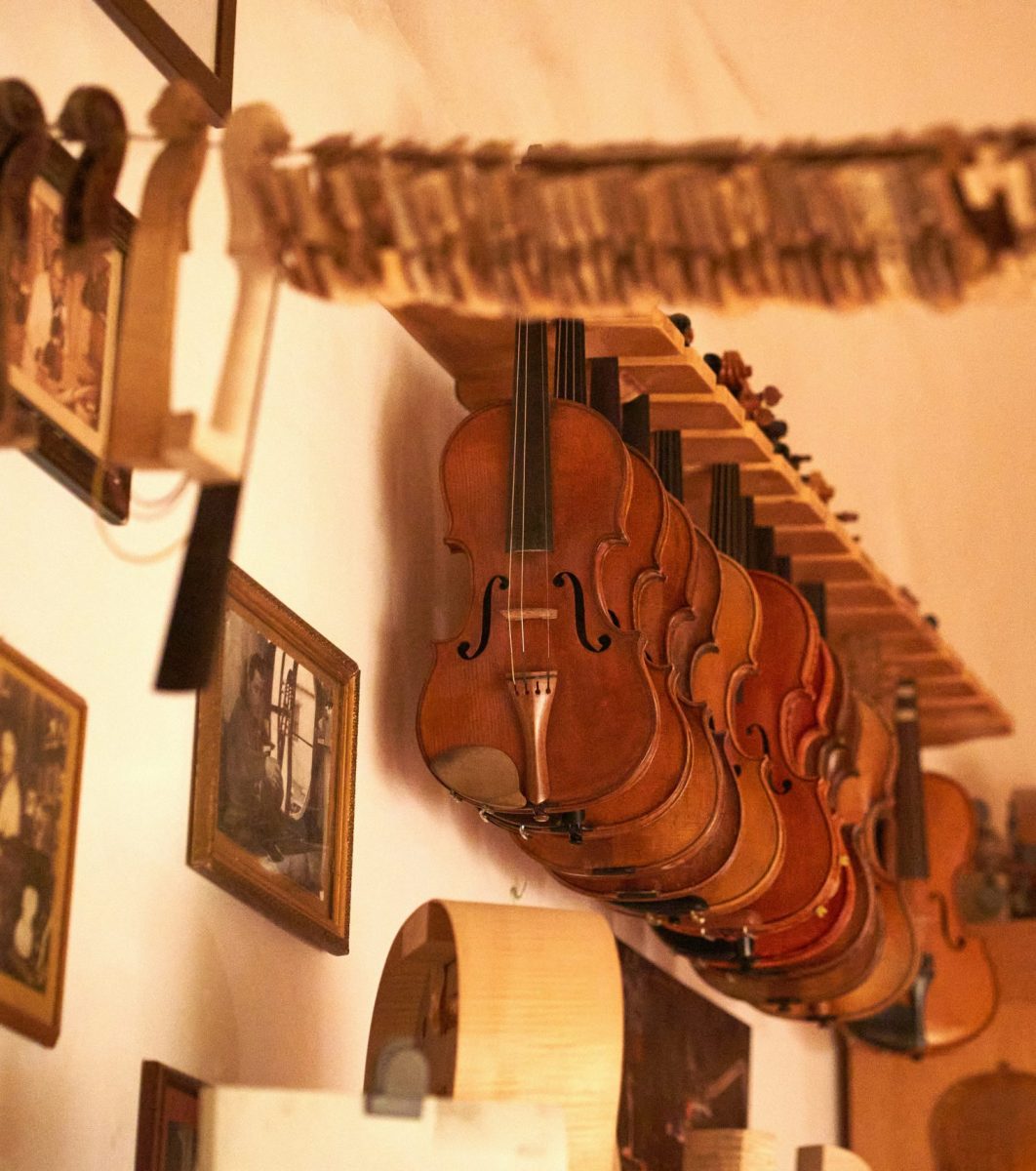 hotel in Naxos near Saint George beach with garden