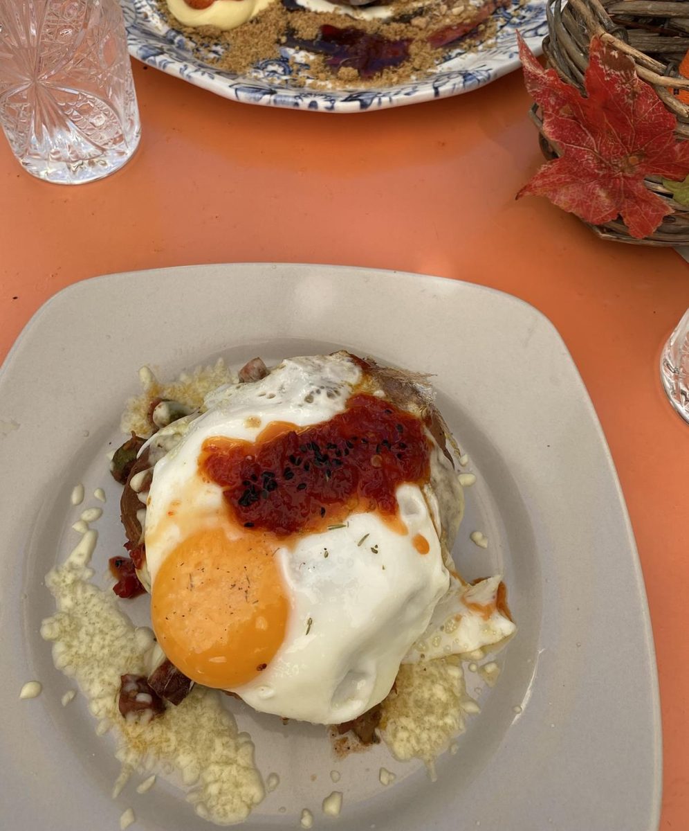 hotel in Naxos near Saint George beach with garden